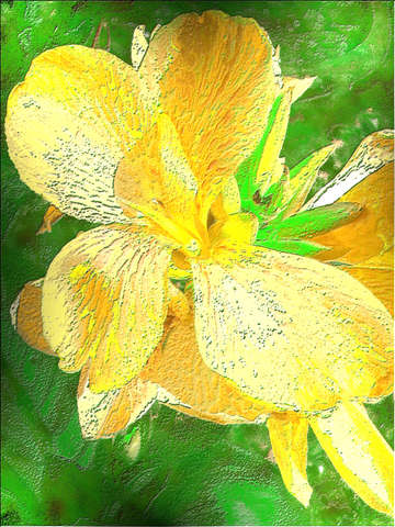 Golden glory