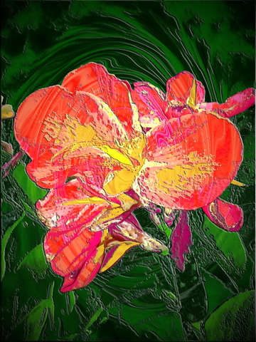 Orange passion
