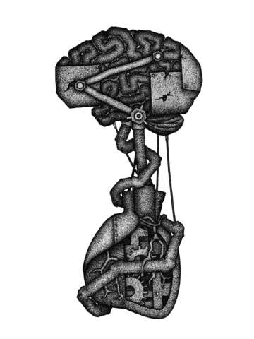 Head and heart