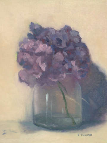 Hydrangea 2