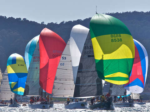 San francisco bay spinnakers