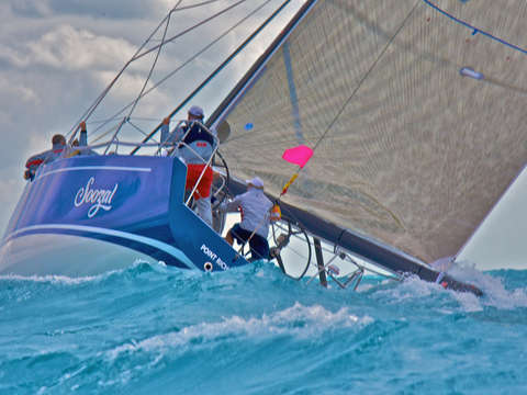 Florida sailboat regatta