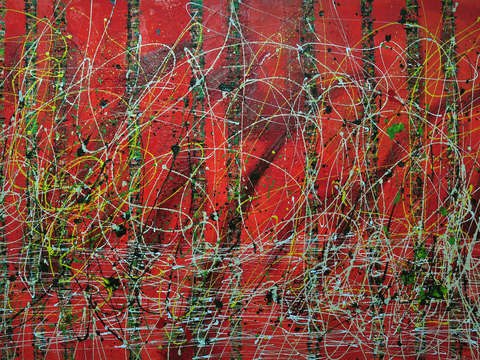 Save the forest xiii