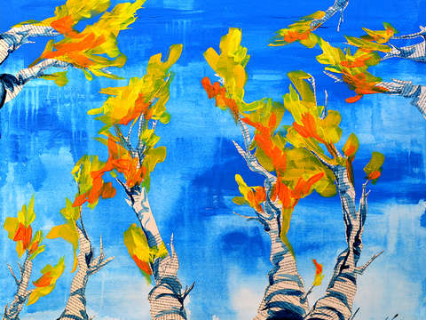 Aspens winter park colorado