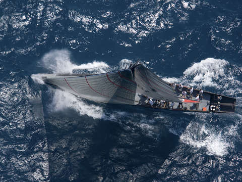 Birds of view of alinghi