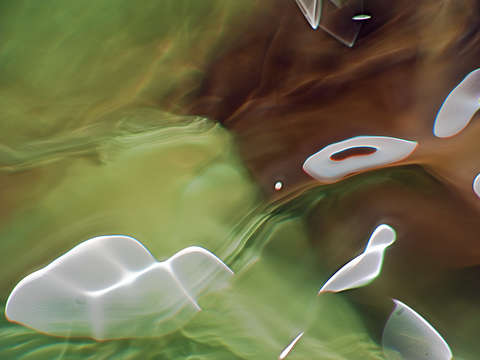 Discovered in Water III