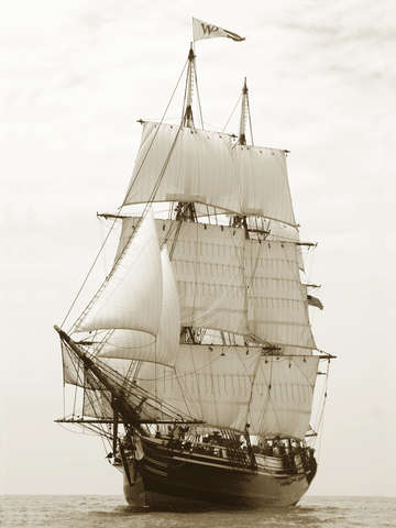 Friendship of salem