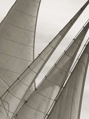 Head sails fly