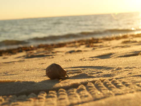 Nantucket sunset 2