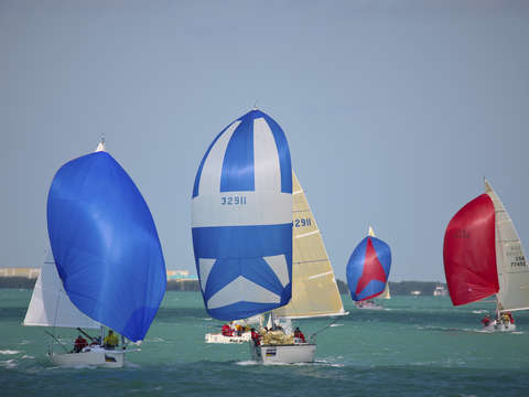 Key west spinnakers