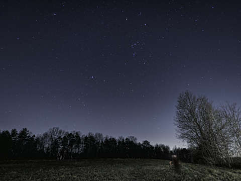 We are all made of stars
