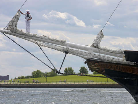 Cisne branco sails past castle island