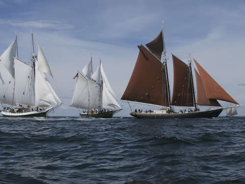 Gloucester schooner festival