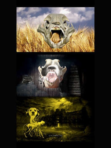 Film strip 4