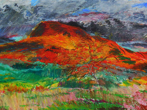 Mt norwottuck and apple trees xi