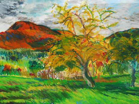 Mt norwottuck and apple trees viii 2