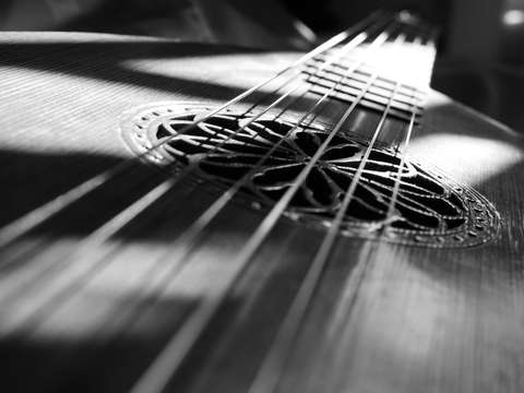 Guitar Lute