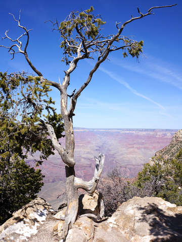 Grand-canyon