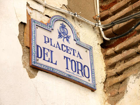 Placeta del toro