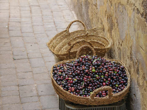 Olives for sale. Marakesh, Morocco