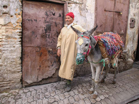 Man with Donkey