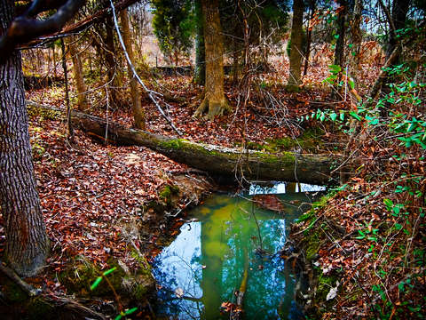 Stream of salvation