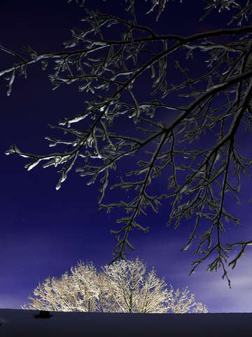 Winter sky
