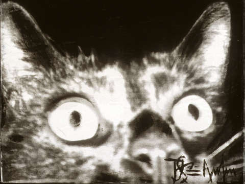 My evil cat