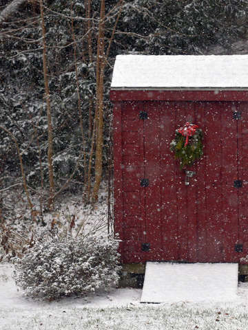 Winter 3