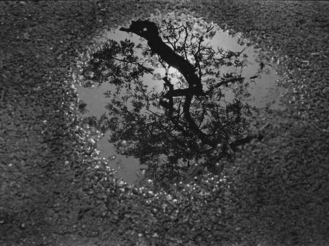 untitled (0412-19)