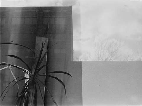 untitled (0302-37)