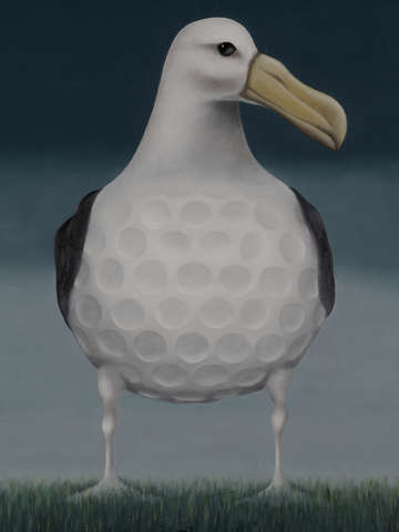 Albatross