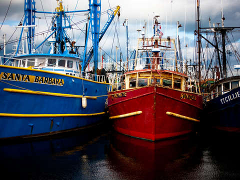 In Dock