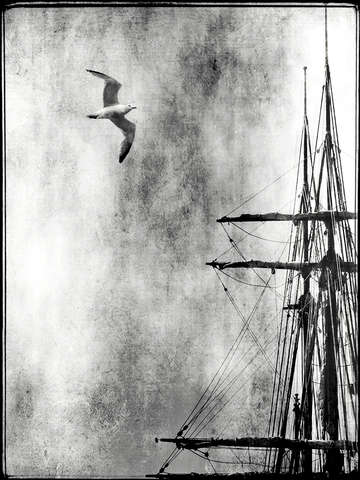 Masts