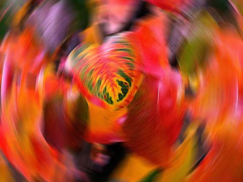 Circles in a spiral