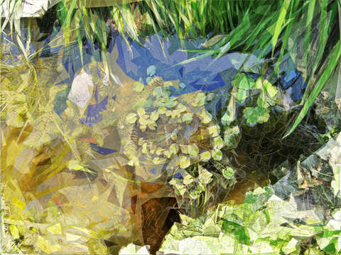 Garden pool L