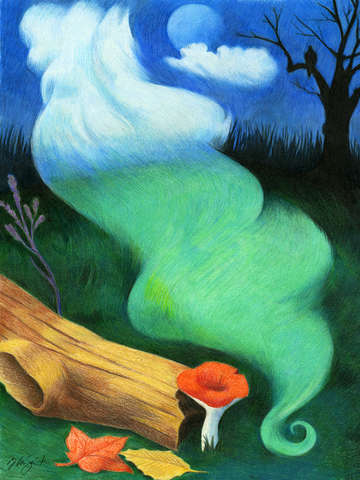 Forest Spirit