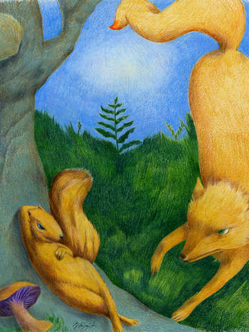 Fox and squirrel