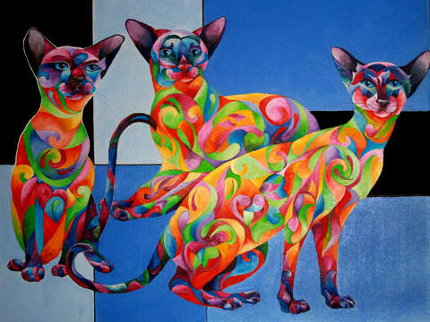 We are siamese if you please