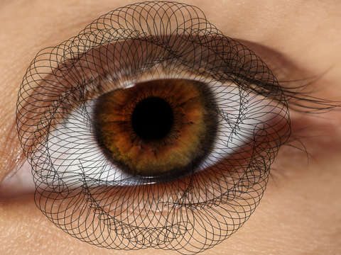 Look into me a floral eye geometry