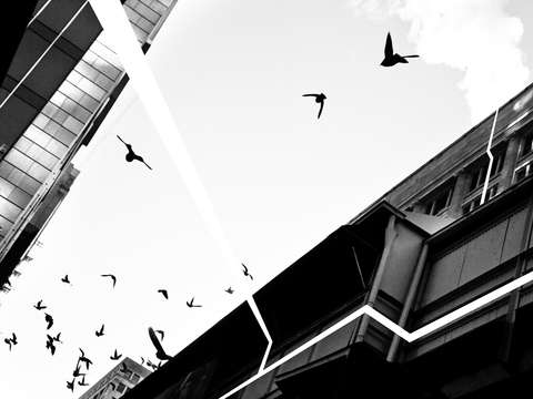 Transition 6