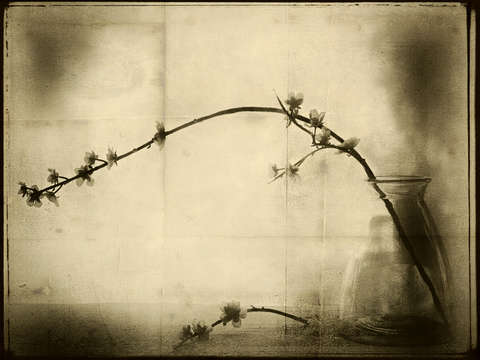 Zen 2