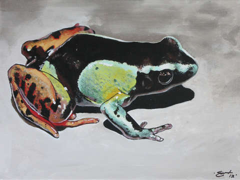 Chill frog