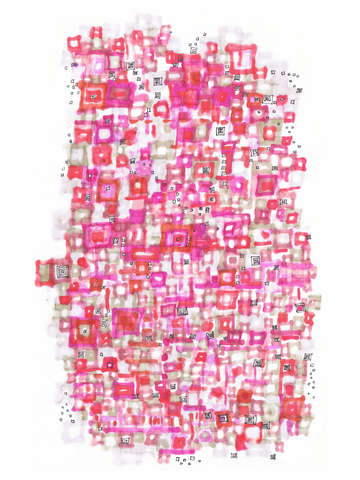 Metropolitan projection