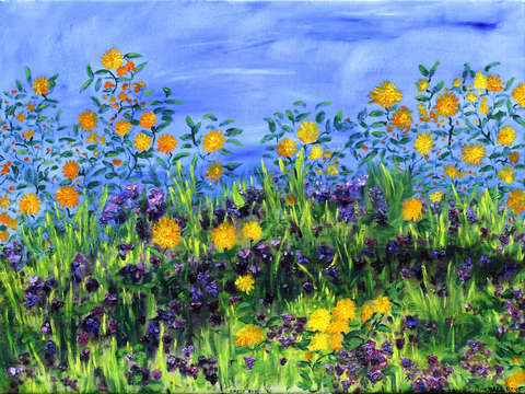 Daisy Days