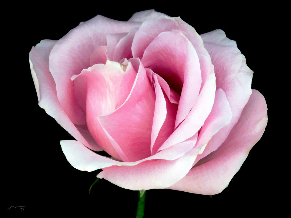 Marco Victorino popshop N598