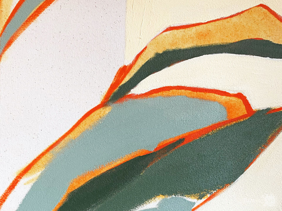 House Plant Reaching for Sun