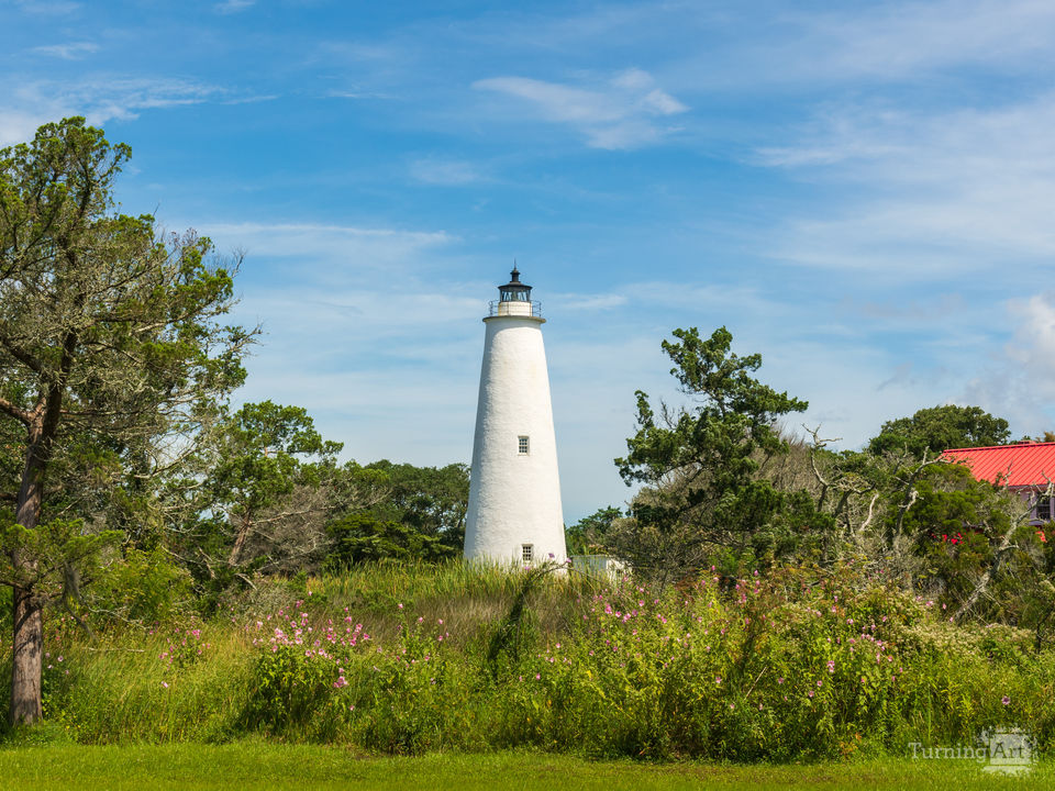 A Light Amidst the Marsh