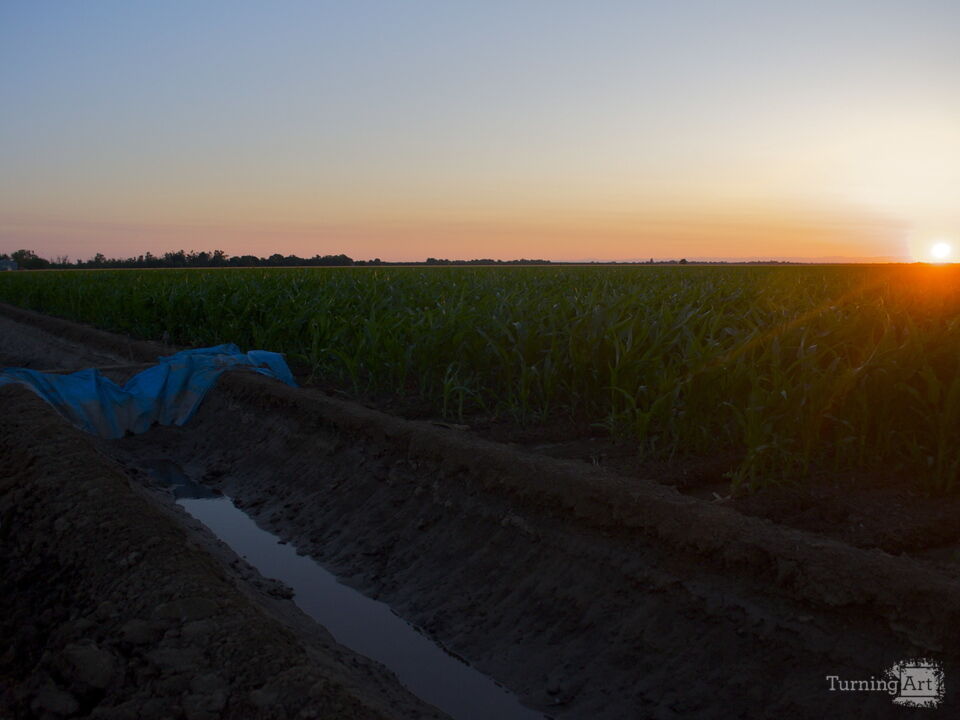 Sunrise in the Valley