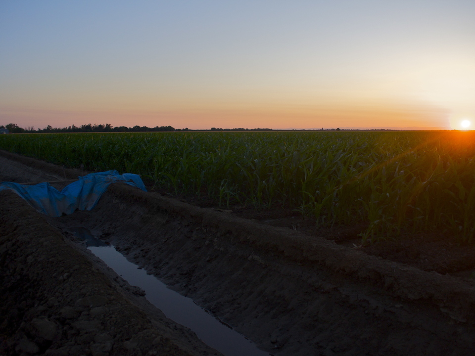 Sunrise in the Valley